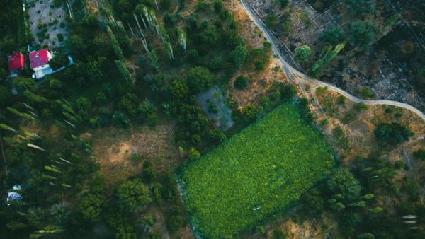 2026 Land Summit: The Best Proven Event in Jamaica