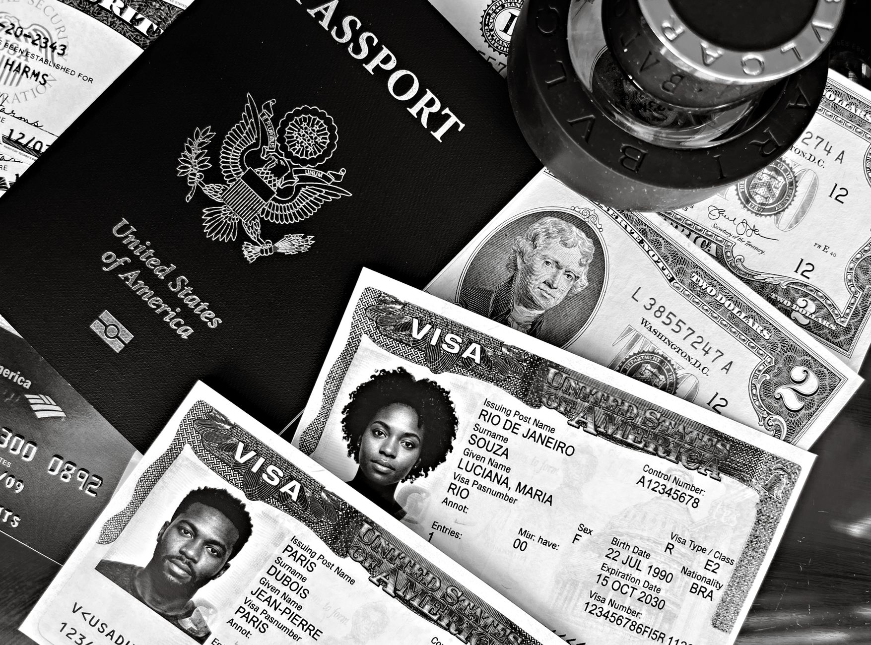 Visa Concierge Platform